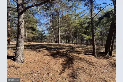 60 Angle Drive, Purgitsville, WV 26852 - Photo 66