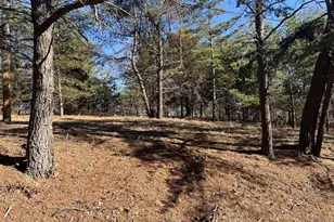 60 Angle Dr, Purgitsville, WV 26852 - Photo 66