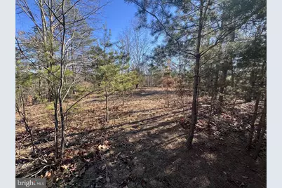 60 Angle Drive, Purgitsville, WV 26852 - Photo 72