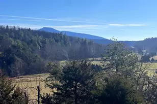 60 Angle Dr, Purgitsville, WV 26852 - Photo 20