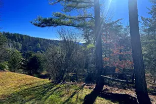 60 Angle Dr, Purgitsville, WV 26852 - Photo 6