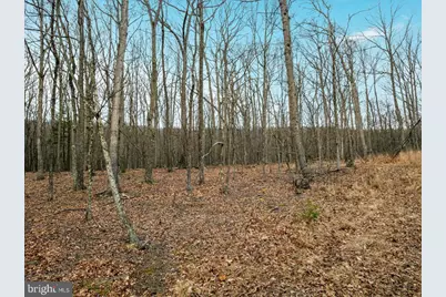 0 Whispering Pines Rd., Slanesville, WV 25444 - Photo 16