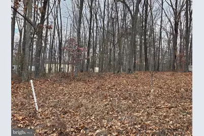 Lot 37 Sherman Drive, Augusta, WV 26704 - Photo 8