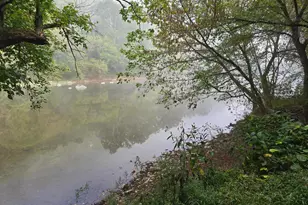 3165 Springfield Pike, Springfield, WV 26763 - Photo 4