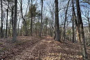 320 Cowgill Ln, Paw Paw, WV 25434 - Photo 62