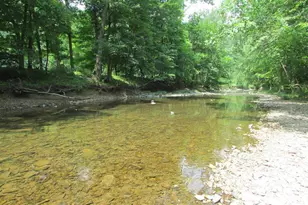 320 Cowgill Ln, Paw Paw, WV 25434 - Photo 68