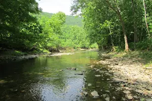 320 Cowgill Ln, Paw Paw, WV 25434 - Photo 70