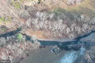 320 Cowgill Ln, Paw Paw, WV 25434 - Photo 92