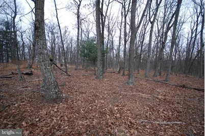 Lot 21 Gold Nugget Road, Augusta, WV 26704 - Photo 10