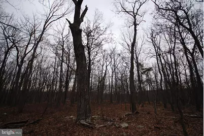 Lot 21 Gold Nugget Road, Augusta, WV 26704 - Photo 6