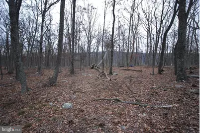 Lot 21 Gold Nugget Road, Augusta, WV 26704 - Photo 4