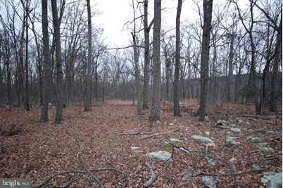Lot 21 Gold Nugget Road, Augusta, WV 26704 - Photo 1