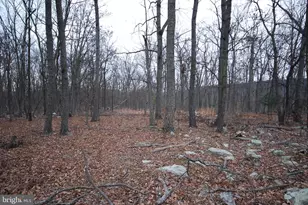 Lot 21 Gold Nugget Rd, Augusta, WV 26704 - Photo 1