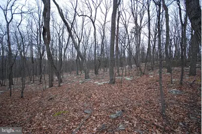 Lot 88 Wakeman Drive, Augusta, WV 26704 - Photo 2