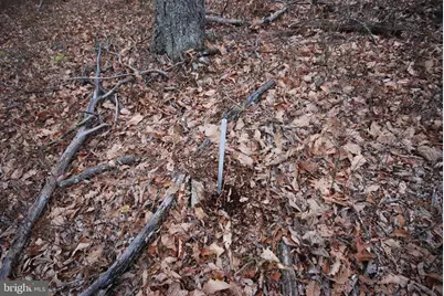 Lot 88 Wakeman Drive, Augusta, WV 26704 - Photo 4