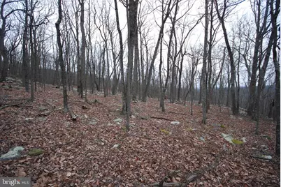 Lot 88 Wakeman Drive, Augusta, WV 26704 - Photo 6
