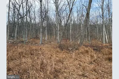 10.03 Ac Dove Drive, Paw Paw, WV 25434 - Photo 10