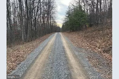 10.03 Ac Dove Drive, Paw Paw, WV 25434 - Photo 8