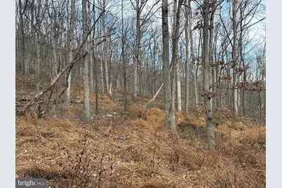 10.03 Ac Dove Drive, Paw Paw, WV 25434 - Photo 4