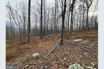 10.03 Ac Dove Drive, Paw Paw, WV 25434 - Photo 14