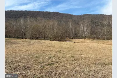 2.19 Ac Potomac Valley View Lane, Springfield, WV 26763 - Photo 8