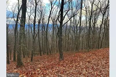 Lot 14 Sec 8 Lawyer Lane, Slanesville, WV 25444 - Photo 1