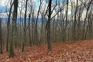 Lot 14 Sec 8 Lawyer Ln, Slanesville, WV 25444 - Photo 1