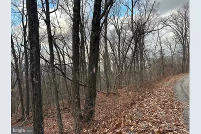 Lot 14 Sec 8 Lawyer Lane, Slanesville, WV 25444 - Photo 6