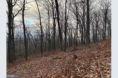 Lot 24 Sec 10 Lawyer Lane, Slanesville, WV 25444 - Photo 4