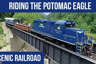 1345 Paul's Woods Rd, Delray, WV 26714 - Photo 18