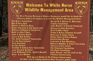 2402 Clarence Taylor Rd, Springfield, WV 26763 - Photo 116