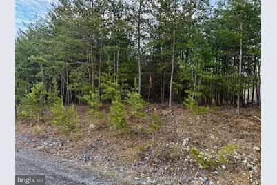 Quivey's Lookout Pt #LOT 28, Romney, WV 26757 - Photo 38