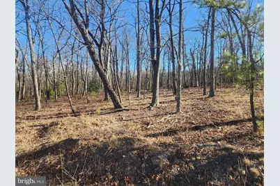 Lot N Pioneer Lane, Augusta, WV 26704 - Photo 1