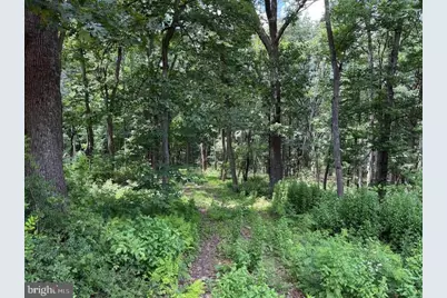 80 Cabin Road, Augusta, WV 26704 - Photo 2