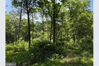 80 Cabin Road, Augusta, WV 26704 - Photo 4