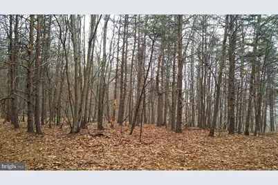 253 Silver Fox Lane, Romney, WV 26757 - Photo 4