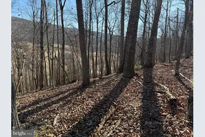 Lot 7 & 8 Ritters Hidden Valley, Capon Bridge, WV 26711 - Photo 14