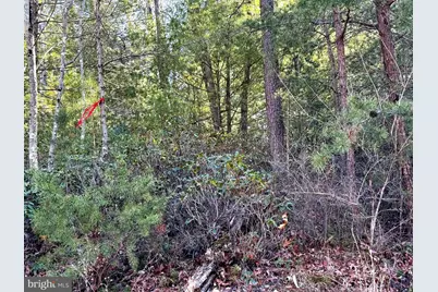 Lot 7 & 8 Ritters Hidden Valley, Capon Bridge, WV 26711 - Photo 26