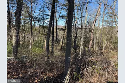 Lot 7 & 8 Ritters Hidden Valley, Capon Bridge, WV 26711 - Photo 6
