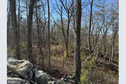 Lot 7 & 8 Ritters Hidden Valley, Capon Bridge, WV 26711 - Photo 10