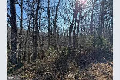 Lot 7 & 8 Ritters Hidden Valley, Capon Bridge, WV 26711 - Photo 2