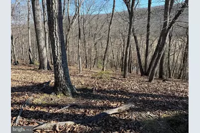 Lot 7 & 8 Hidden Ritters Valley, Capon Bridge, WV 26711 - Photo 14