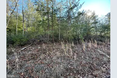 Lot 7 & 8 Hidden Ritters Valley, Capon Bridge, WV 26711 - Photo 22