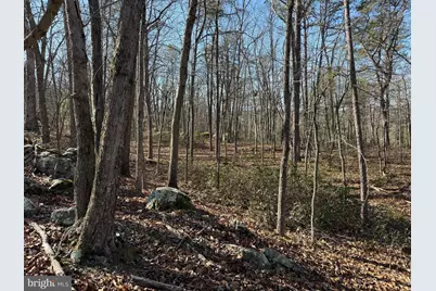 Lot 7 & 8 Ritters Hidden Valley, Capon Bridge, WV 26711 - Photo 12