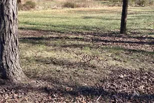 2863 Christian Church Rd, High View, WV 26808 - Photo 62