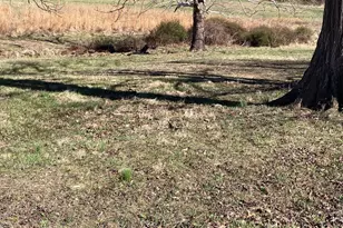 2863 Christian Church Rd, High View, WV 26808 - Photo 104