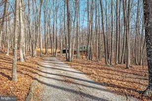 165 Buck Run Rd, Delray, WV 26714 - Photo 22