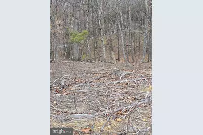 Lot 1 Cornwell Drive, Romney, WV 26757 - Photo 6