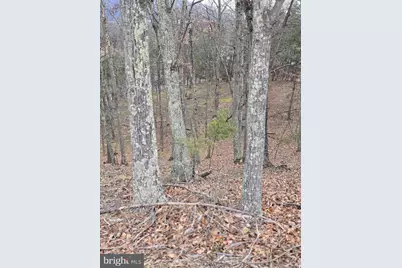 Lot 1 Cornwell Drive, Romney, WV 26757 - Photo 4