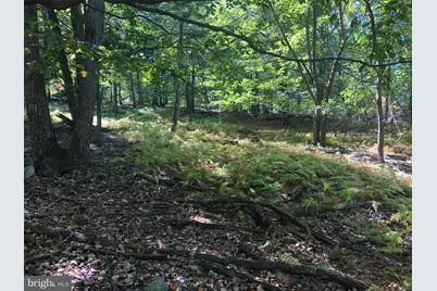 116 River Ridge, Yellow Spring, WV 26865 - Photo 20